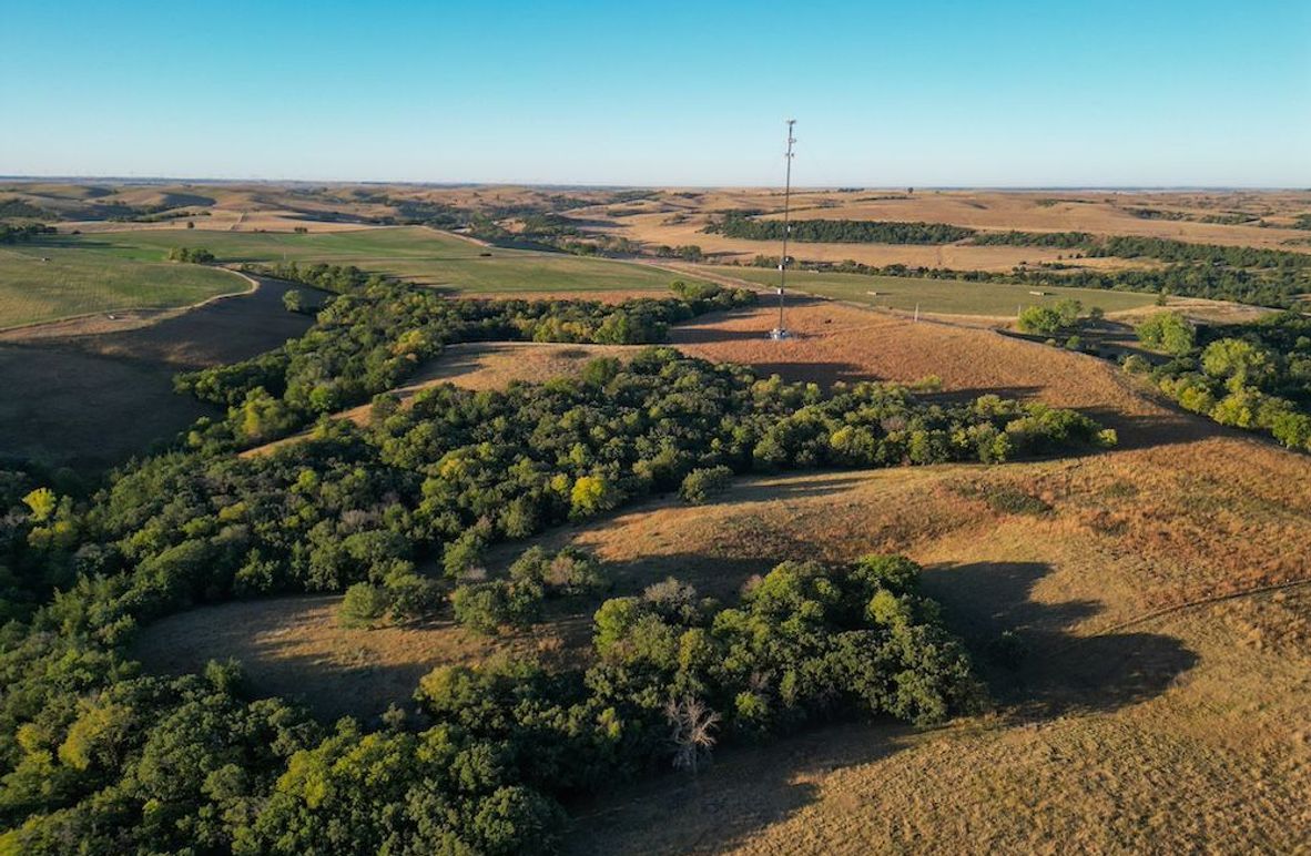 Print Lynch Deer And Turkey Tract Whitetail Properties