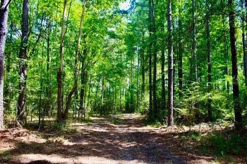 3E74F85C-0BC6-4858-8690-3A27A8B3FBB4_1_105_c