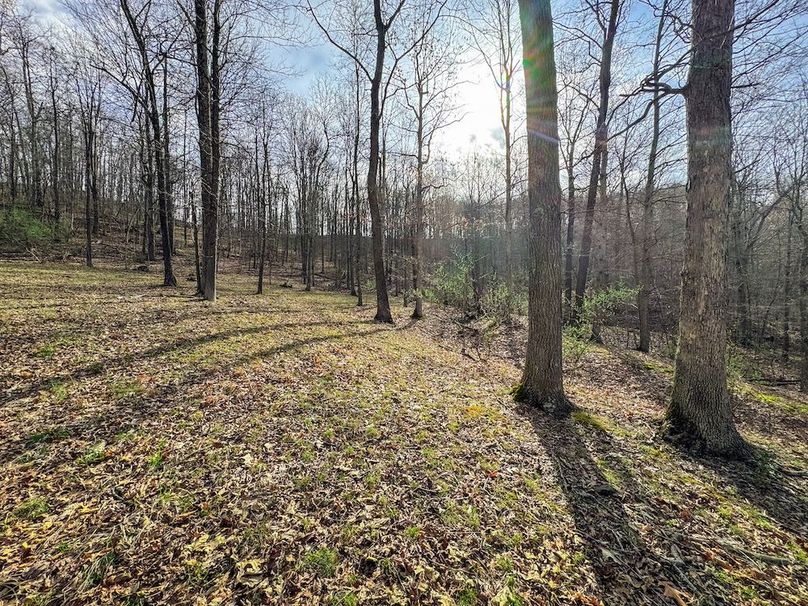 Ritchie, WV 206.08 AC Curriden-23