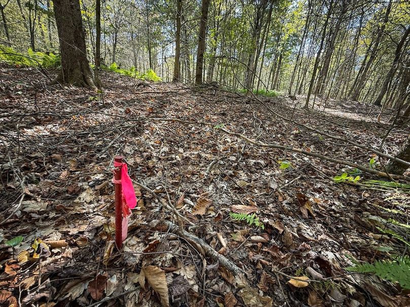 Oswego NY 18.18 Martin Photos 24