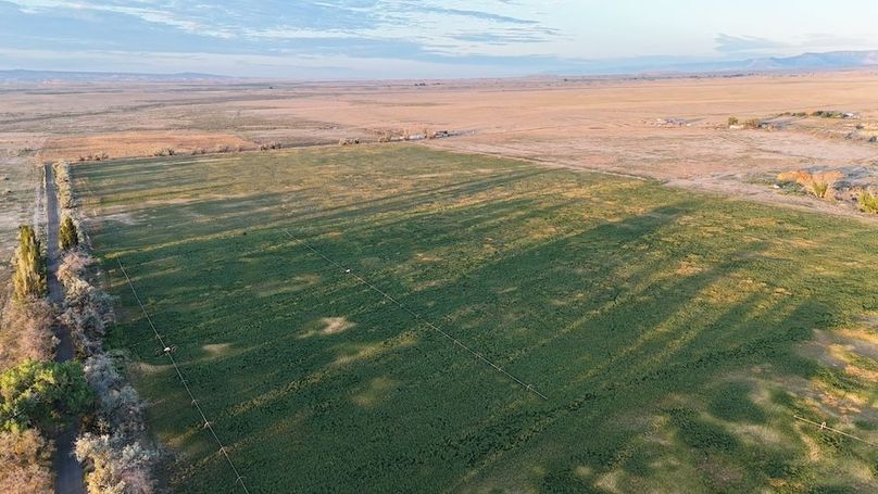 DJI_20240810065254_0072_D