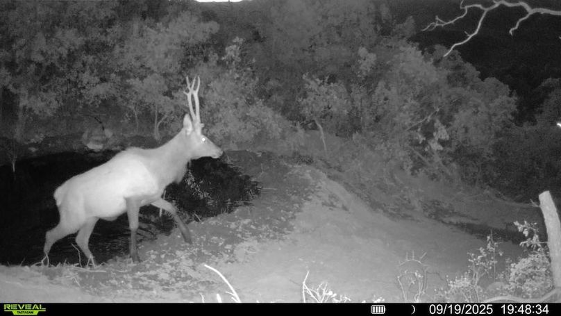 016578004083249-82-2-09192025194834-V-SYFW00281