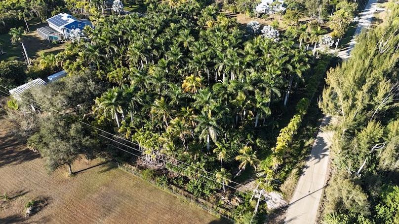 DJI_20260206085658_0235_D