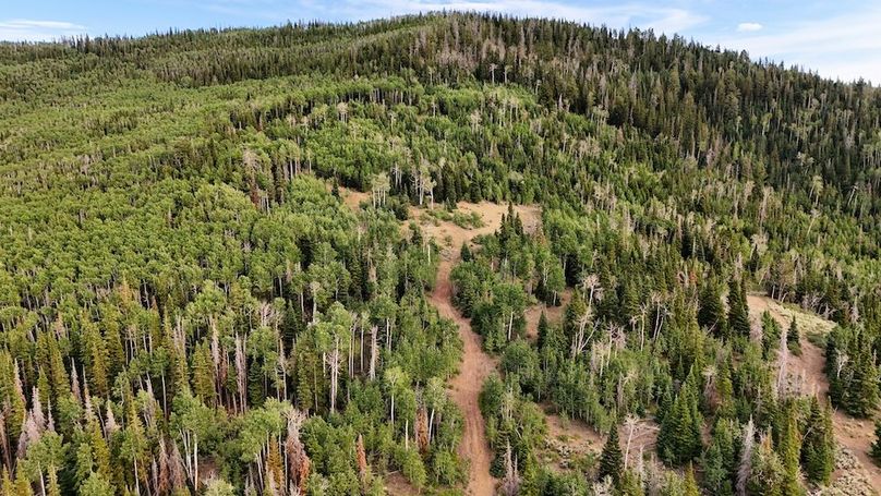 DJI_20250726183710_0207_D