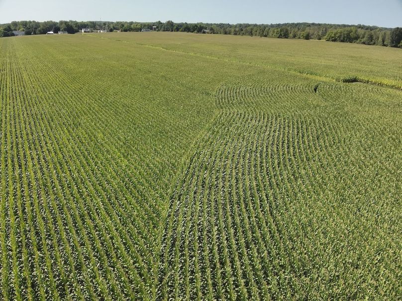 DJI_20240823235552_0015_V