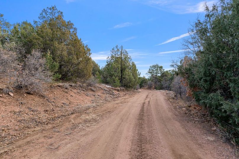 04 - Sunnybrook Trail - Road Frontage