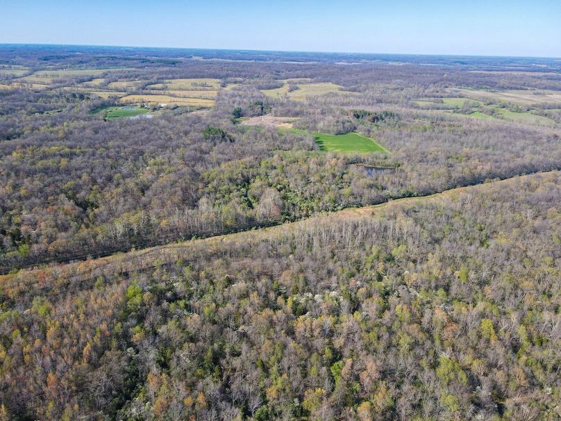 vandalia 450 (2)-2511