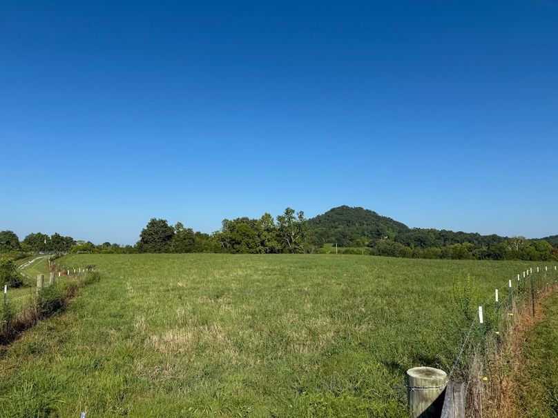 Fleming 32.98 new pic -13