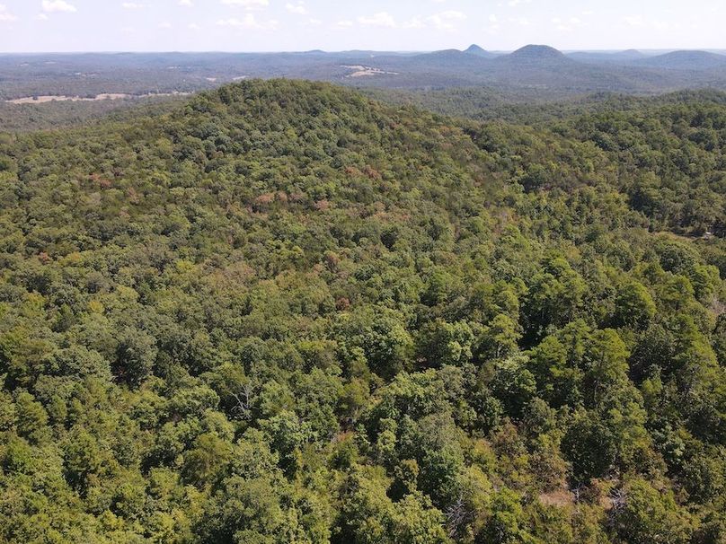 dji_fly_20250902_122500_773_1756833919495_photo