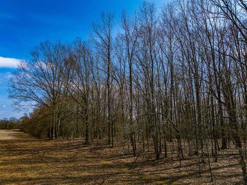 Gibson County Tract 1-10