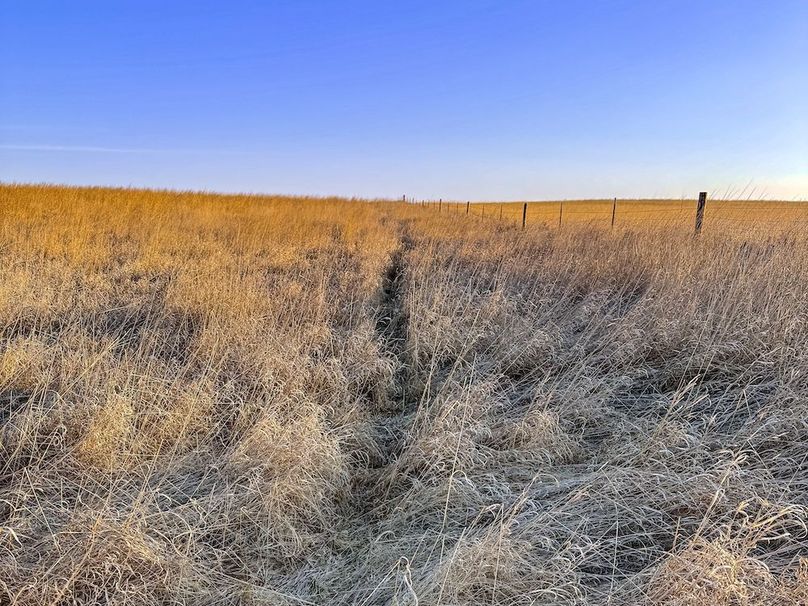 5. deer trail