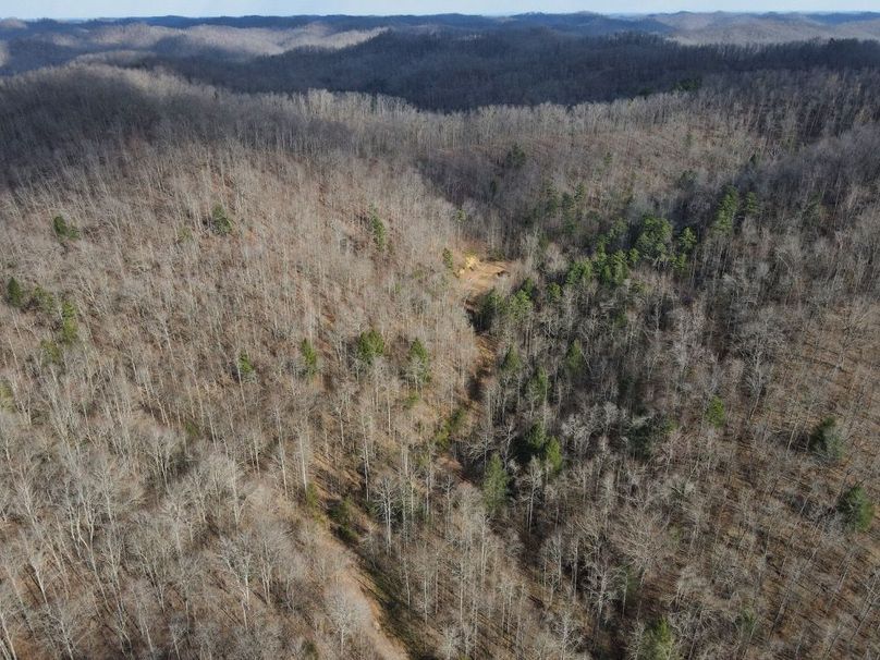 021 aerial view looking into the left hollow split-2