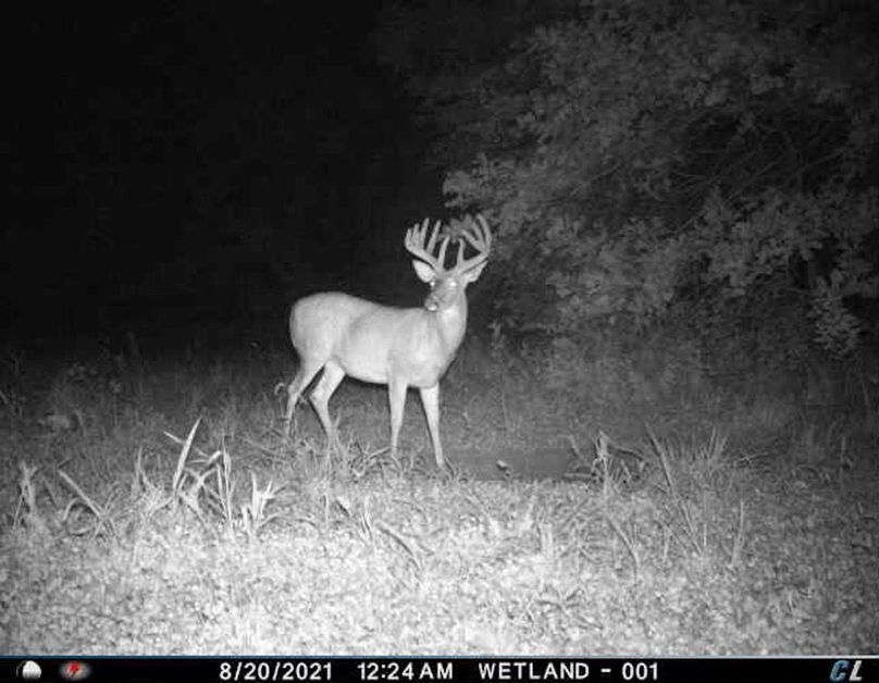 3354D98C-865E-4AC5-9E1F-9B779201B355