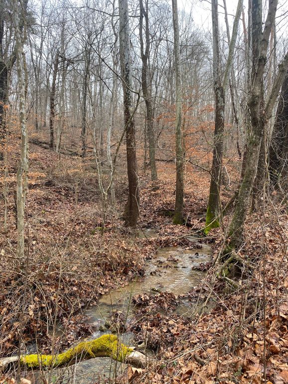 Greenup Ky Mauk 46.15 18