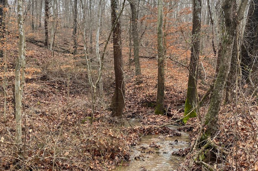 Greenup Ky Mauk 46.15 18