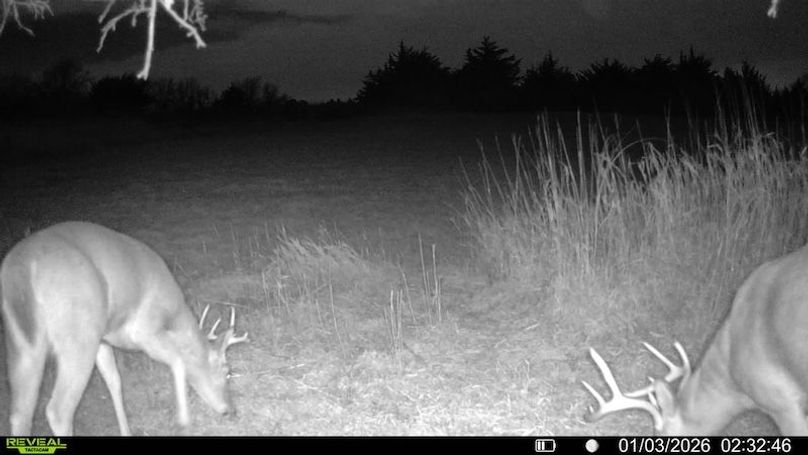 016578006043092-37-4-01032026023246-SYFW06450