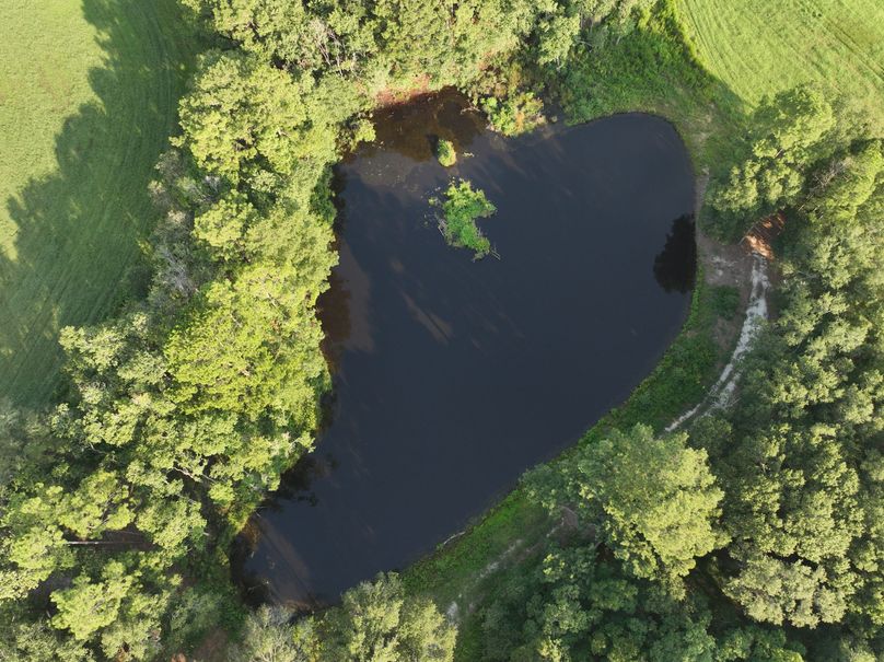 dji_fly_20230813_083532_522_1691930608787_photo