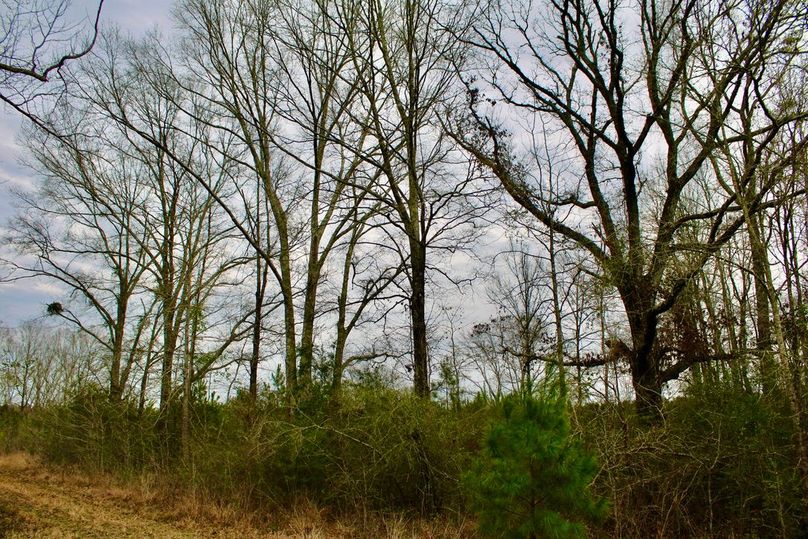 DFDDD0AF-F2CA-416B-8C69-CF0620F0C90E_1_105_c