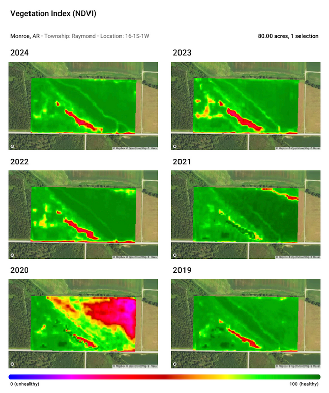 Crop NDVI Map