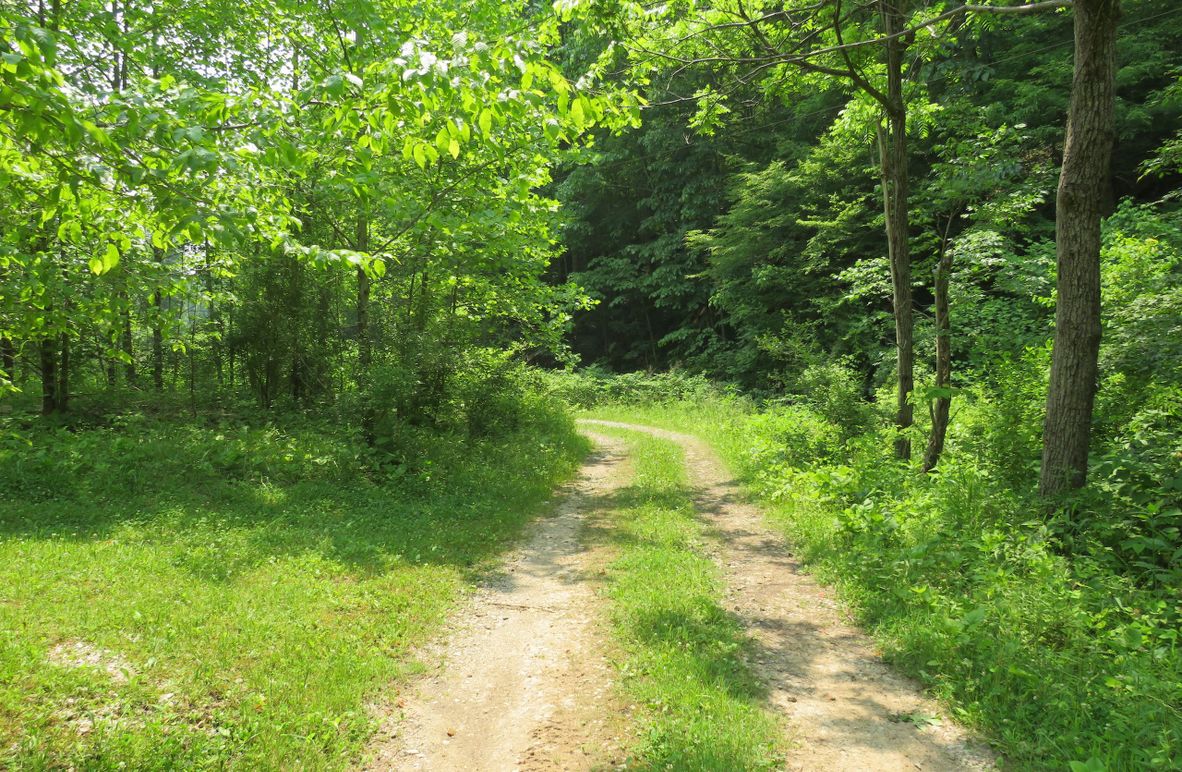 cover photo-IMG_4420