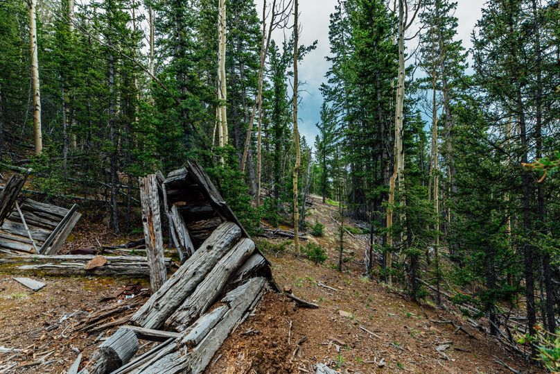 Teller 11.75 - 0009 mining cabin