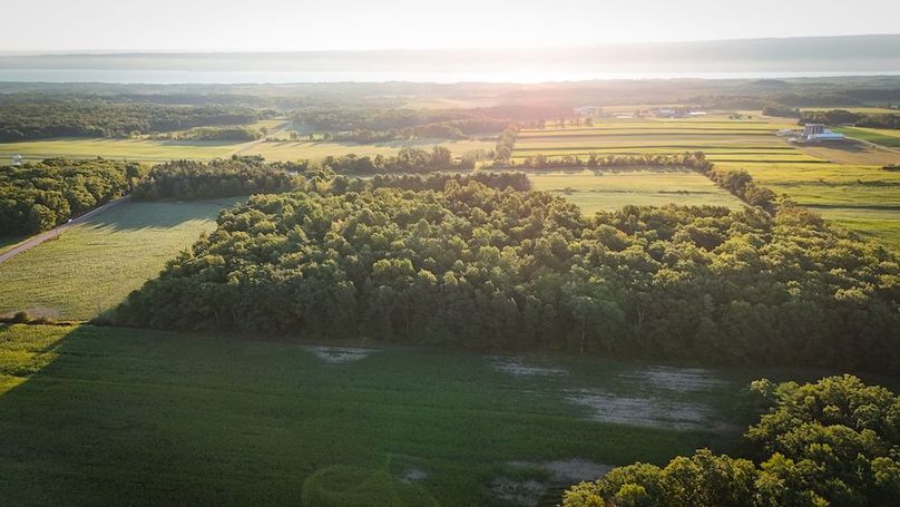 Copy of Wood Tract 5 Photo 6