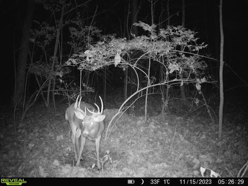 868032065377495-0-3-11152023052630-V-W1005193