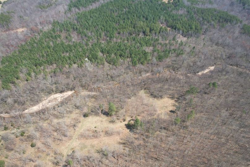 DJI_0299