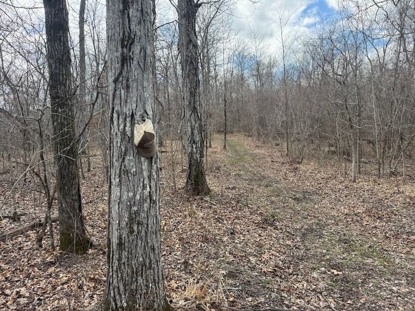 stone8020260306_0087