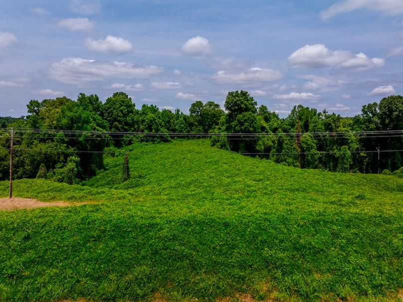 Yazoo Co - 7.3 - Hoffman-21