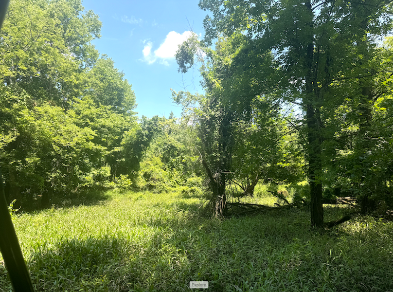 Screenshot 2025-10-03 at 11.19.39 AM