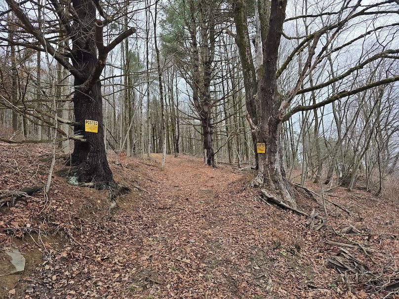 photo_b8f58ff4-bfc9-48ef-a91b-a4f13d77147e