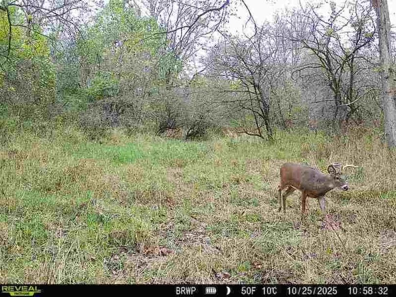 860322065236702-100-4-10252025105832-W1000325