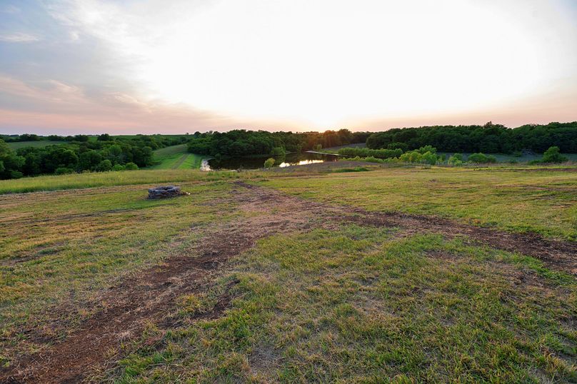 Harrison MO 480 Pro Photo_177 (1)