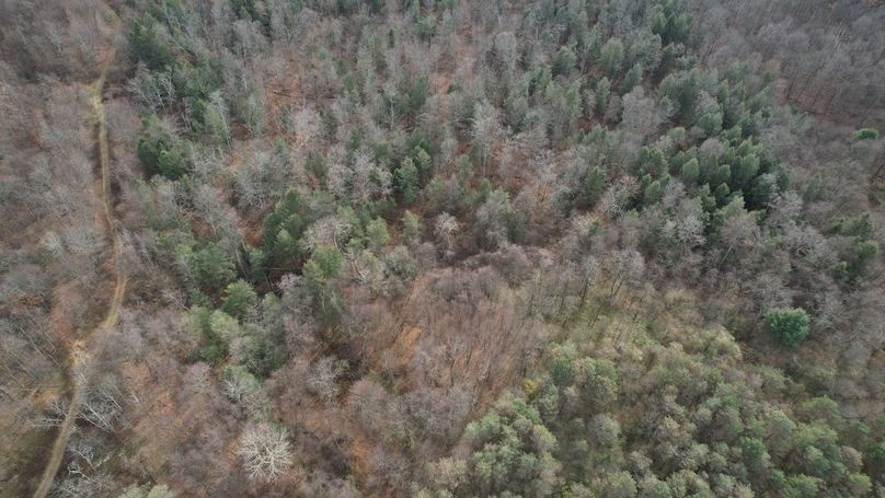 dji_fly_20251124_135004_34_1764010346840_photo