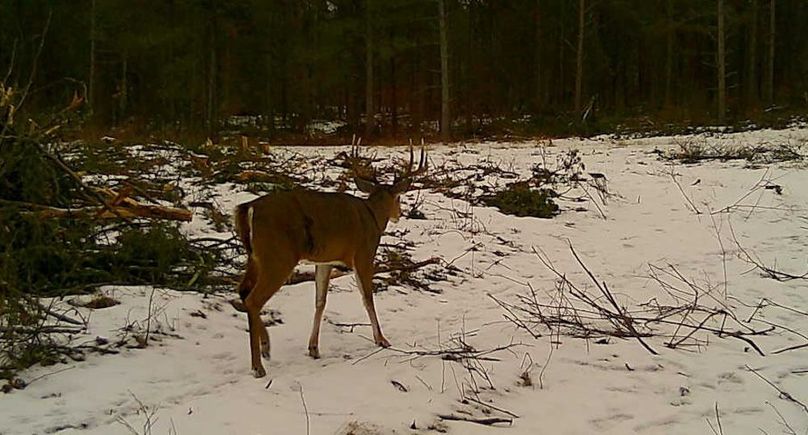 24121616032401001365 (1)