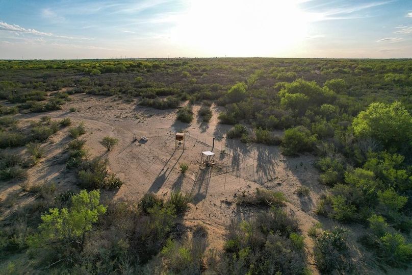 DJI_0681