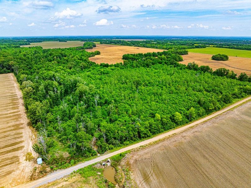 Copy of Noxubee 70 +- Tract 3-02