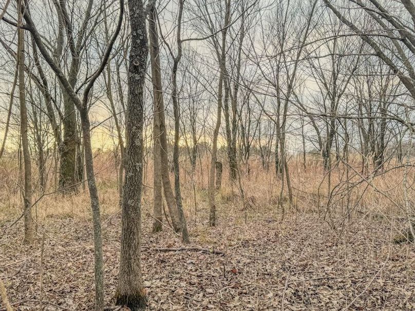 Monroe 80 Driver Dixon (Final Frontier) -23