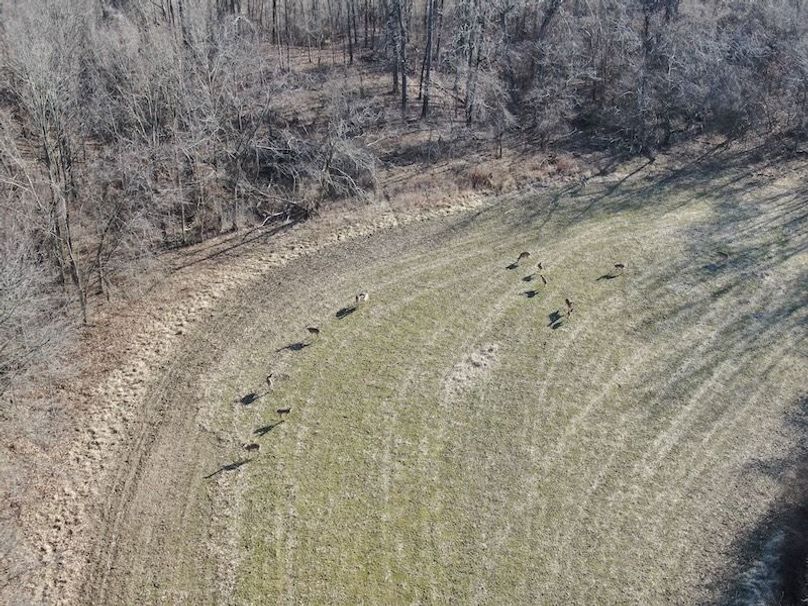 DJI_0761