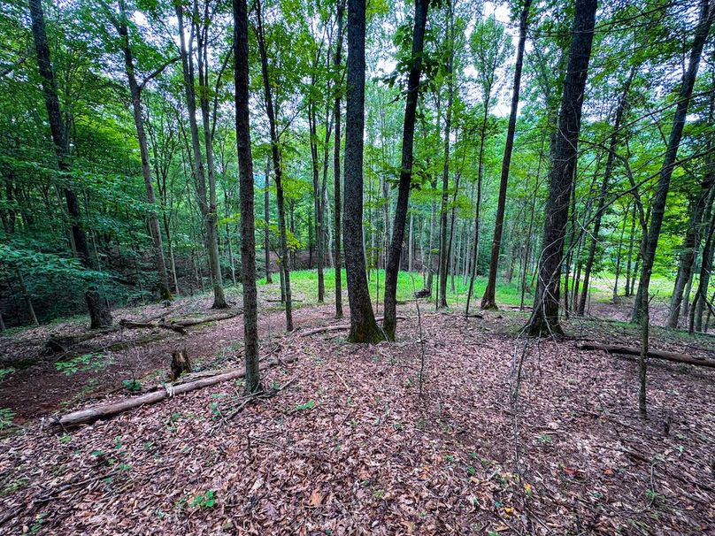 Tyler, WV 46 Lemasters -13