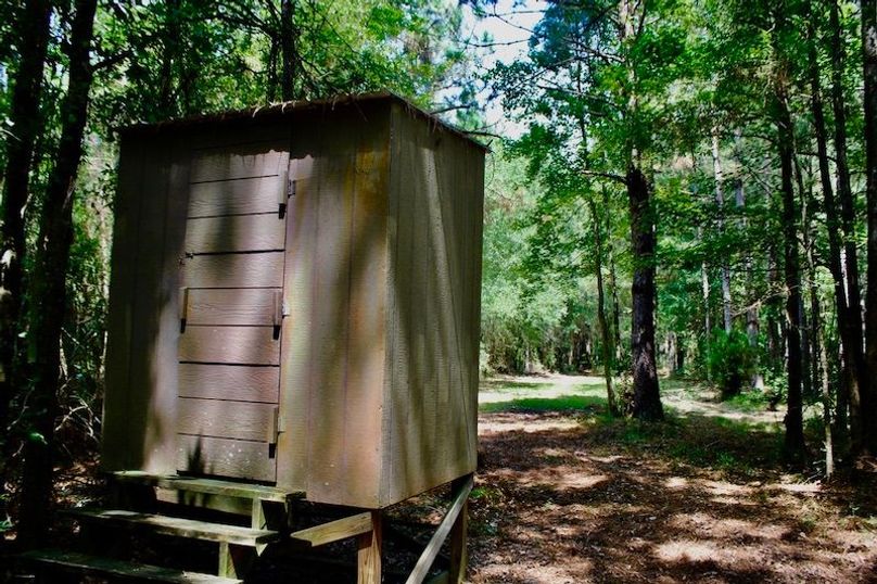 C57D2F66-7921-4C51-A63F-E6909513CD2C_1_105_c