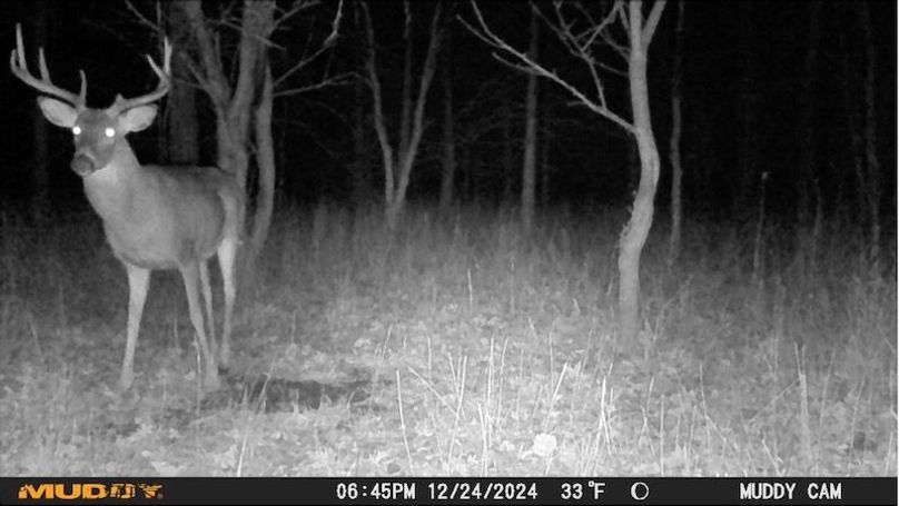 Image 12-28-24 at 6.38 PM 2