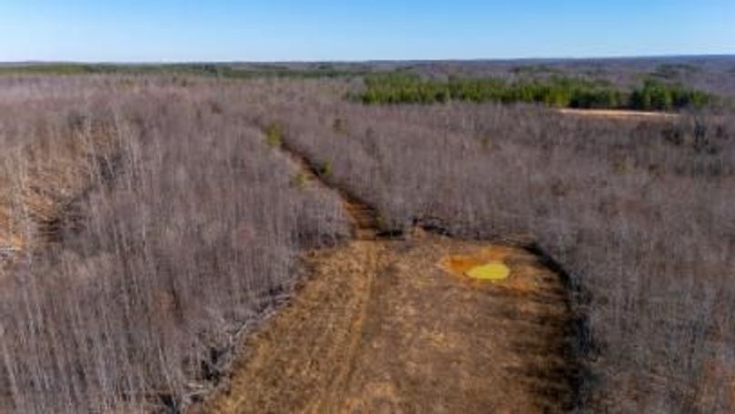 mckinnon tract 14-21