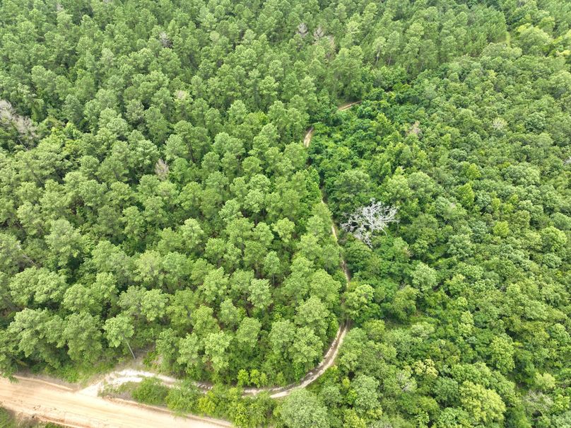 dji_fly_20230703_134256_351_1688406251527_photo