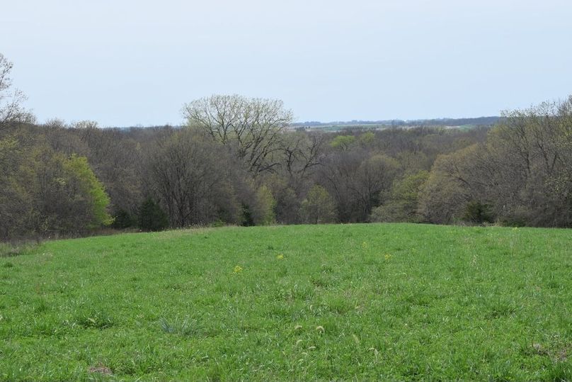 DSC_0026