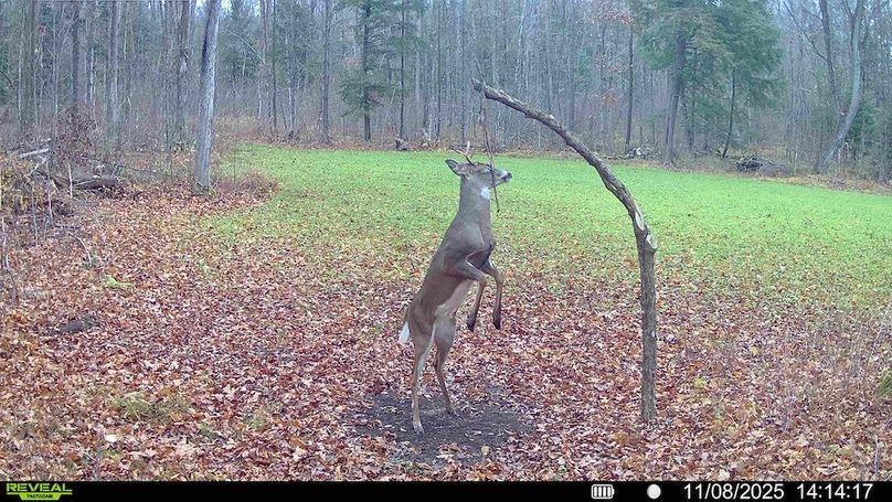 016579004341785-84-3-11082025201653-HD-SYFW00750