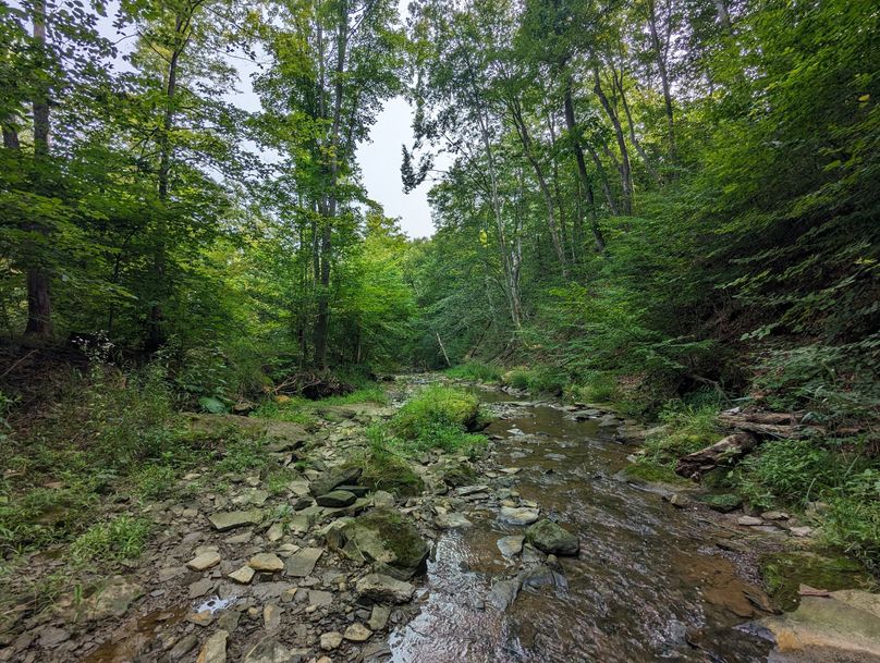 PXL_20230801_145032367