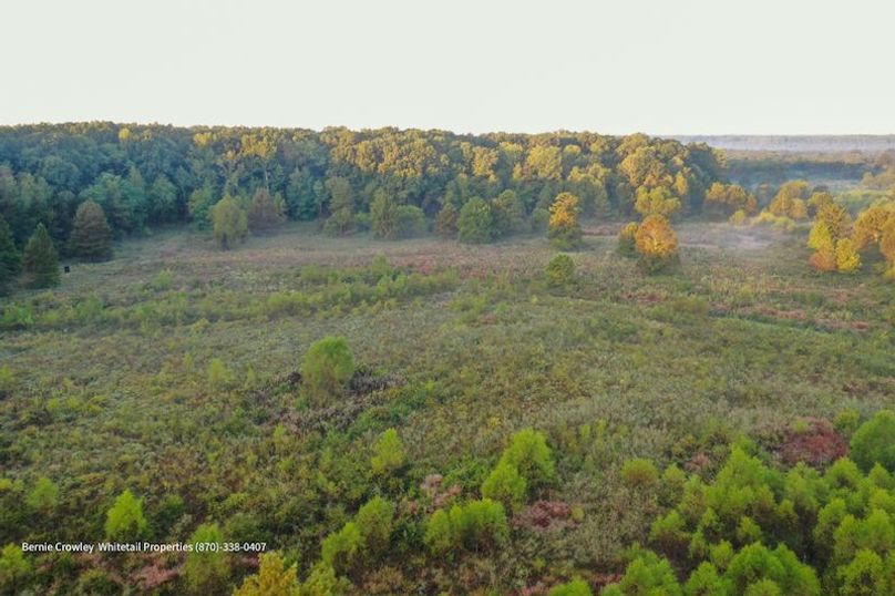 DeSoto 109 Prewett -22