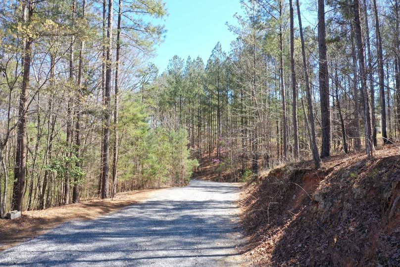 020_Drive Into Property